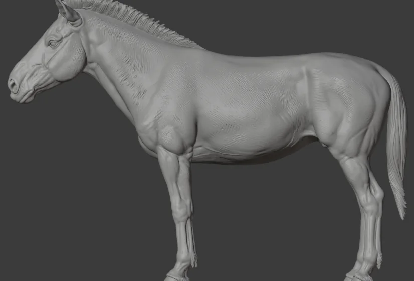 Hipparion