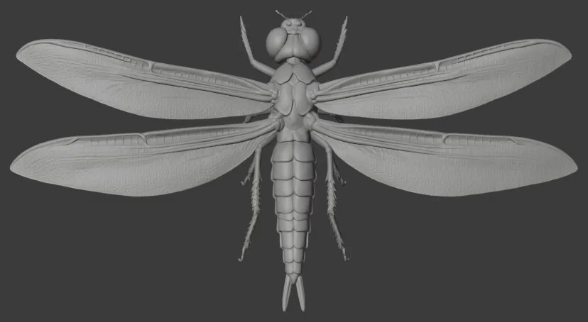 Meganeura