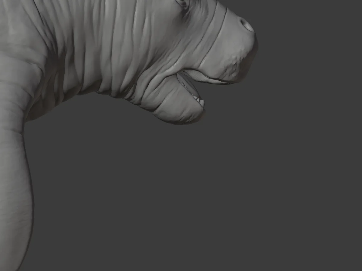 Sea cow head, reseated eye and rebuilt mouth