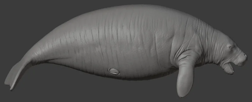 Steller&rsquo;s sea cow, neutral pose